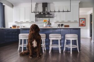 USA Cabinet Store Announces Expanded Turnkey Kitchen Remodeling Services in Cherry Hill